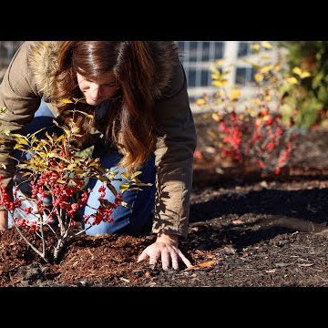 When Is It Too Late To Plant?