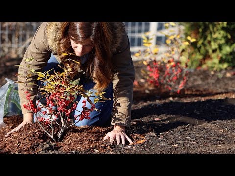 When Is It Too Late To Plant?