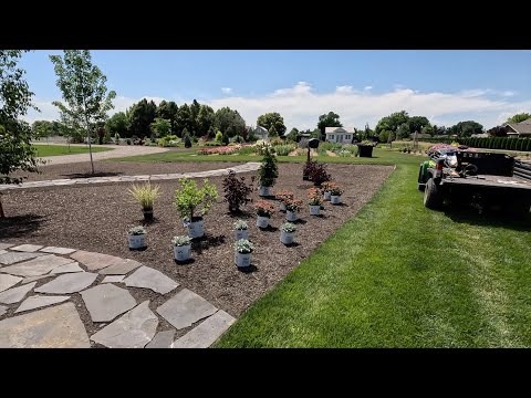 Planting Sun-Loving Shrubs and Perennials!