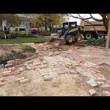 First Day of Sidewalk & Brick Patio Demo + Planting a Birch Tree!