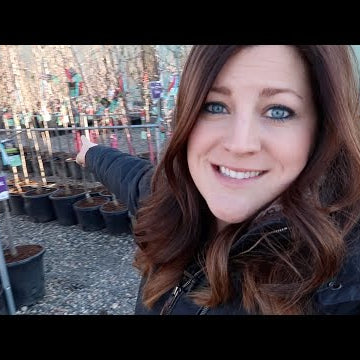 Shopping for Fruit Trees!