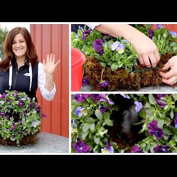 How to Make a Pansiola Wreath (Full Version)