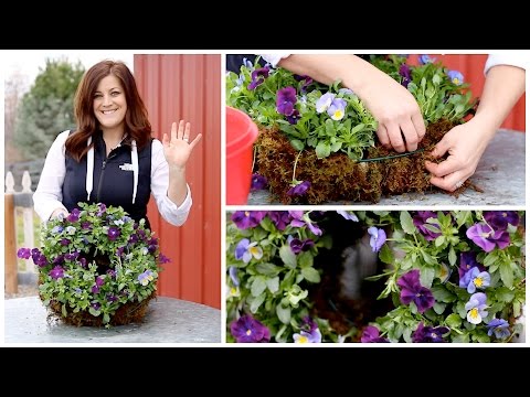 How to Make a Pansiola Wreath (Full Version)