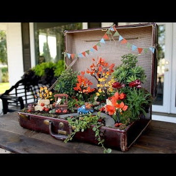 Old Suitcase Turned Pumpkin Patch Miniature Garden!