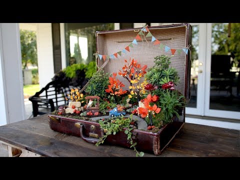 Old Suitcase Turned Pumpkin Patch Miniature Garden!