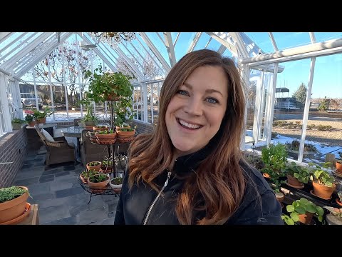 My Mom Surprised Me With a Plant Stand & Picnic in the Greenhouse!