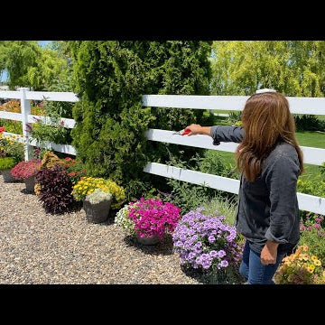 Flower Alley Update!