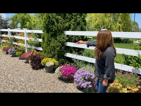 Flower Alley Update!