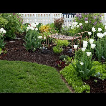 Spring Planting, Ant Control & Veggie Garden Update!