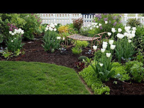 Spring Planting, Ant Control & Veggie Garden Update!