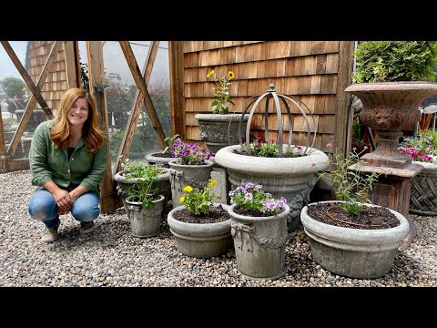 Planting One Plant Per Pot! (Aaron Made Me Do It)