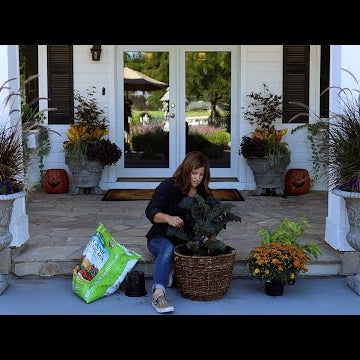 Planting Fall Pots Part 2