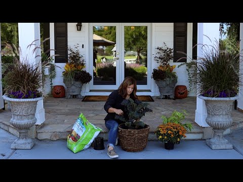 Planting Fall Pots Part 2