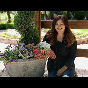 Planting Superbells + Care Tips!