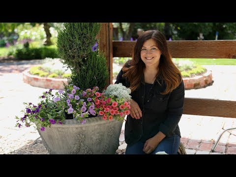 Planting Superbells + Care Tips!