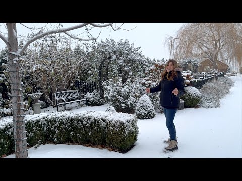 December Garden Tour- Our First Snow of the Season!