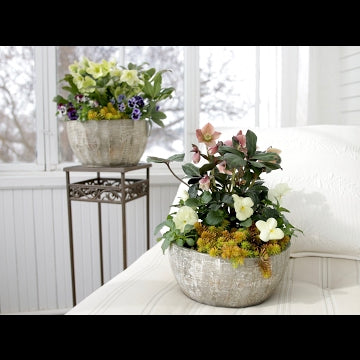 Spring Container Inspiration (Full Version)