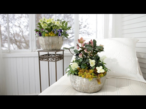 Spring Container Inspiration (Full Version)