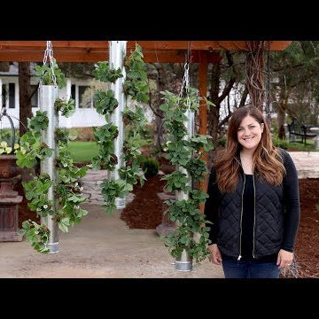 Galvanized Vertical Strawberry Planter! (FULL VERSION)