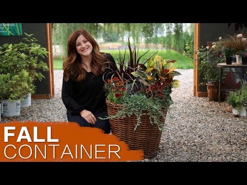 Fall Container Inspiration (Full Version)