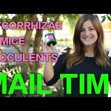 Succulents | Pumice | Mycorrhizae