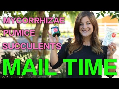 Succulents | Pumice | Mycorrhizae