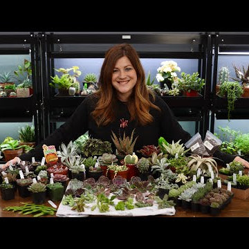 Succulent Unboxing!!!