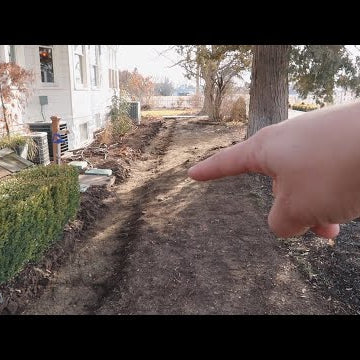 Planting Hyacinth Bulbs & Project Updates!
