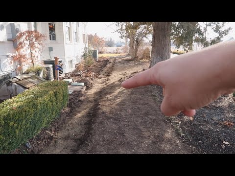 Planting Hyacinth Bulbs & Project Updates!