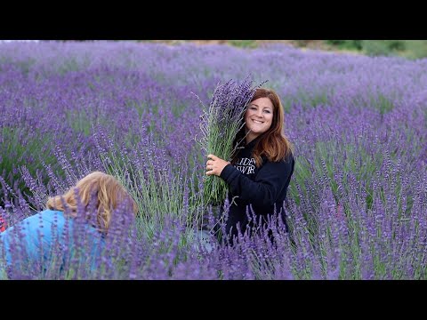 Visiting a Local Lavender Farm & Making Lavender Wreaths With My Mom!