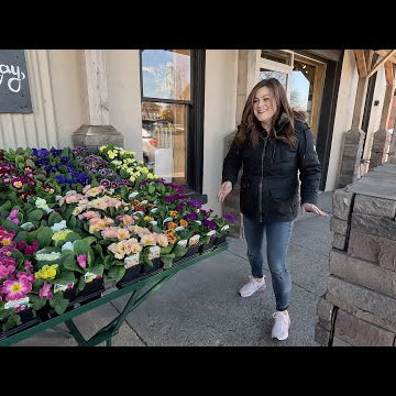 New Plant Load & Spring Window Display at the Garden Center!