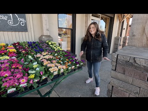 New Plant Load & Spring Window Display at the Garden Center!