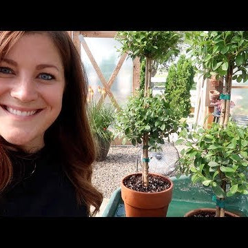 Garden Maintenance Day Part 2!