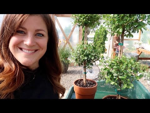 Garden Maintenance Day Part 2!