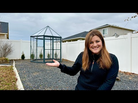 Setting Up a Super Cute Greenhouse for My Sister-in-Law!