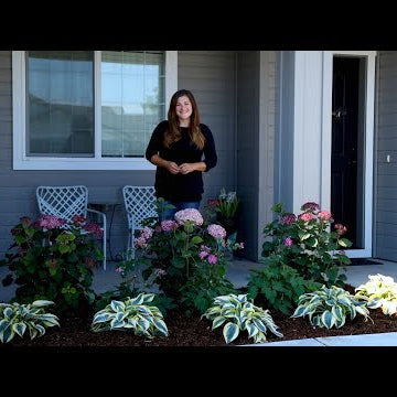 Planting a Front Garden Bed for a Friend!