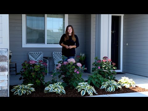 Planting a Front Garden Bed for a Friend!