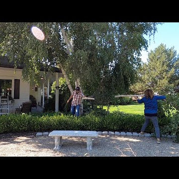 Trimming Our Birch Tree!