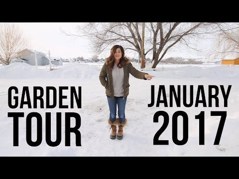 Garden Tour January 2017
