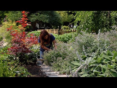 Planting Spruce Trees & Making Borage Cocktails with My Mom!