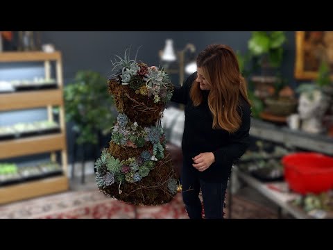 Planting Succulents in a Dress Form!