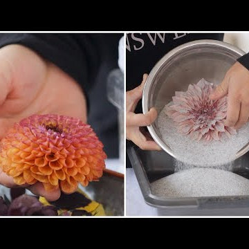 Drying Flowers with Silica GelCrystals + A Fun Way to Display Them!