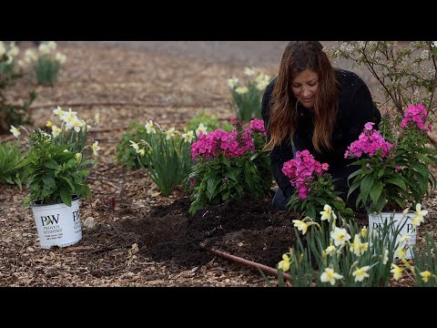 Planting New Varieties of Monarda/Phlox in the RAIN!  + Amaranth Seeds!
