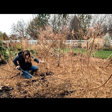 Taming the Sumac BEAST!