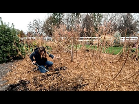 Taming the Sumac BEAST!