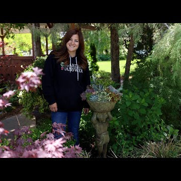 Planting a Mixed Succulent Container for the Garden!