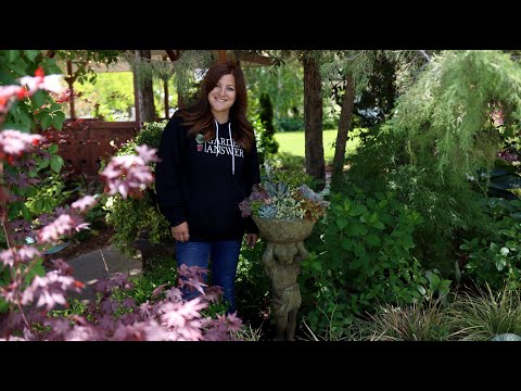 Planting a Mixed Succulent Container for the Garden!