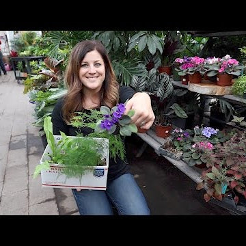 Garden Center Projects