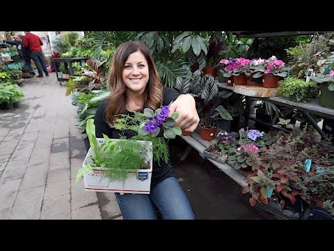 Garden Center Projects