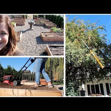 Veggie Garden Cleanup, Planting Garlic, & Fireblight in My Crabapple